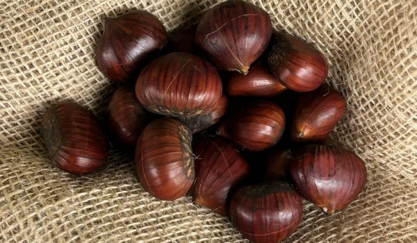 WhatsApp Image 2024-10-24 at 14.50.25