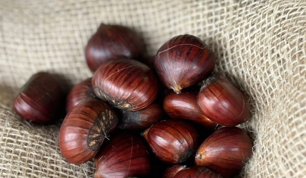 WhatsApp Image 2024-10-24 at 14.50.26